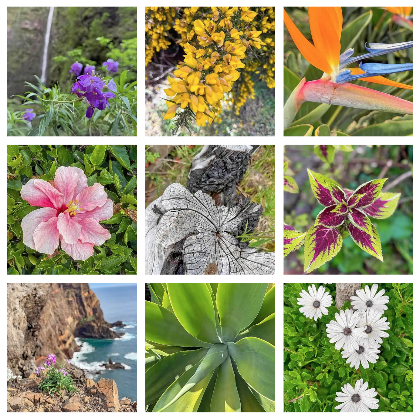 Screen Shot 2026-02-11 at 1.49.44 PM.png