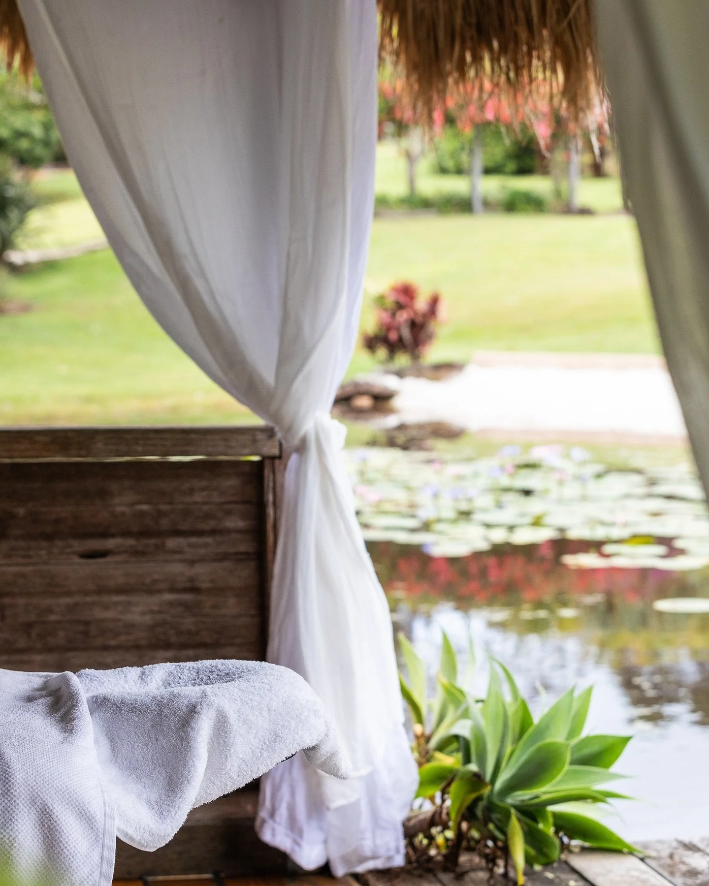 Treatments here are pretty special 🤍

#spa #massage #body #facials #byronbay #lennoxhead