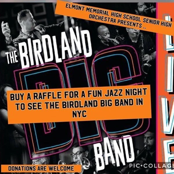 Fundraiser Alert!!
Please support my Orchestra students/program...we are planning Spring workshops, 1st time ever guest artists &amp; performances...it&rsquo;s a fun filled Spring but we need your help!!!
Please support by buying a raffle or donation