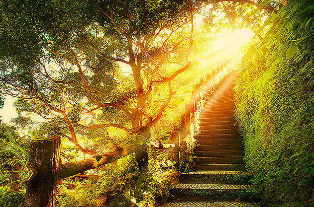  Creating Pathways for New Possibility