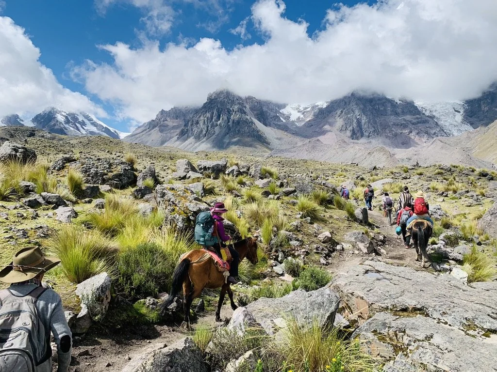 Medicine From the Mountains 