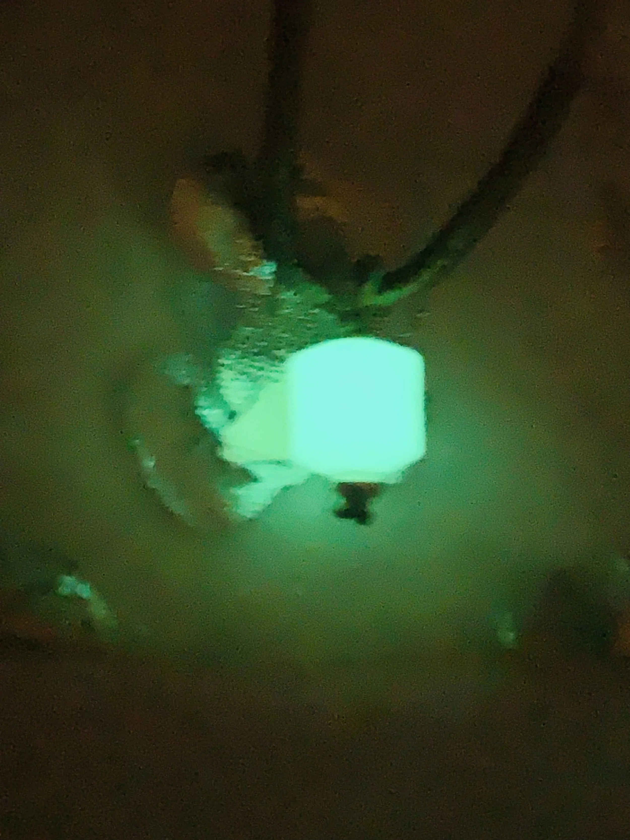 Green Glow YeMingZhu