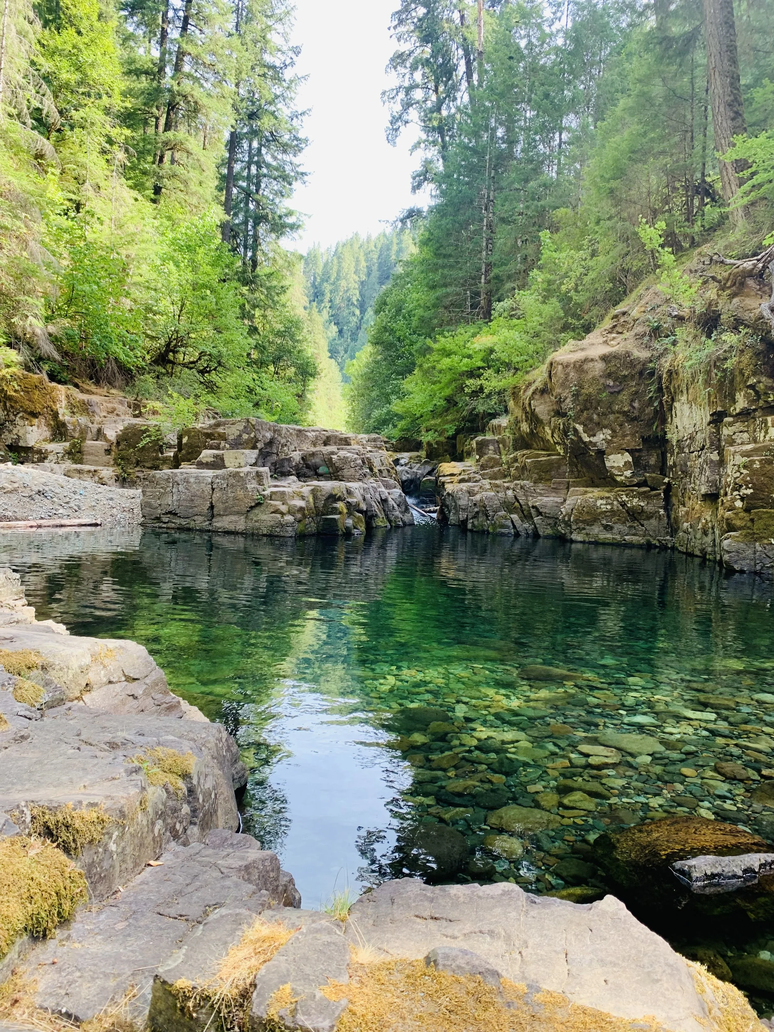 What Is Your Why? Finding Resonance