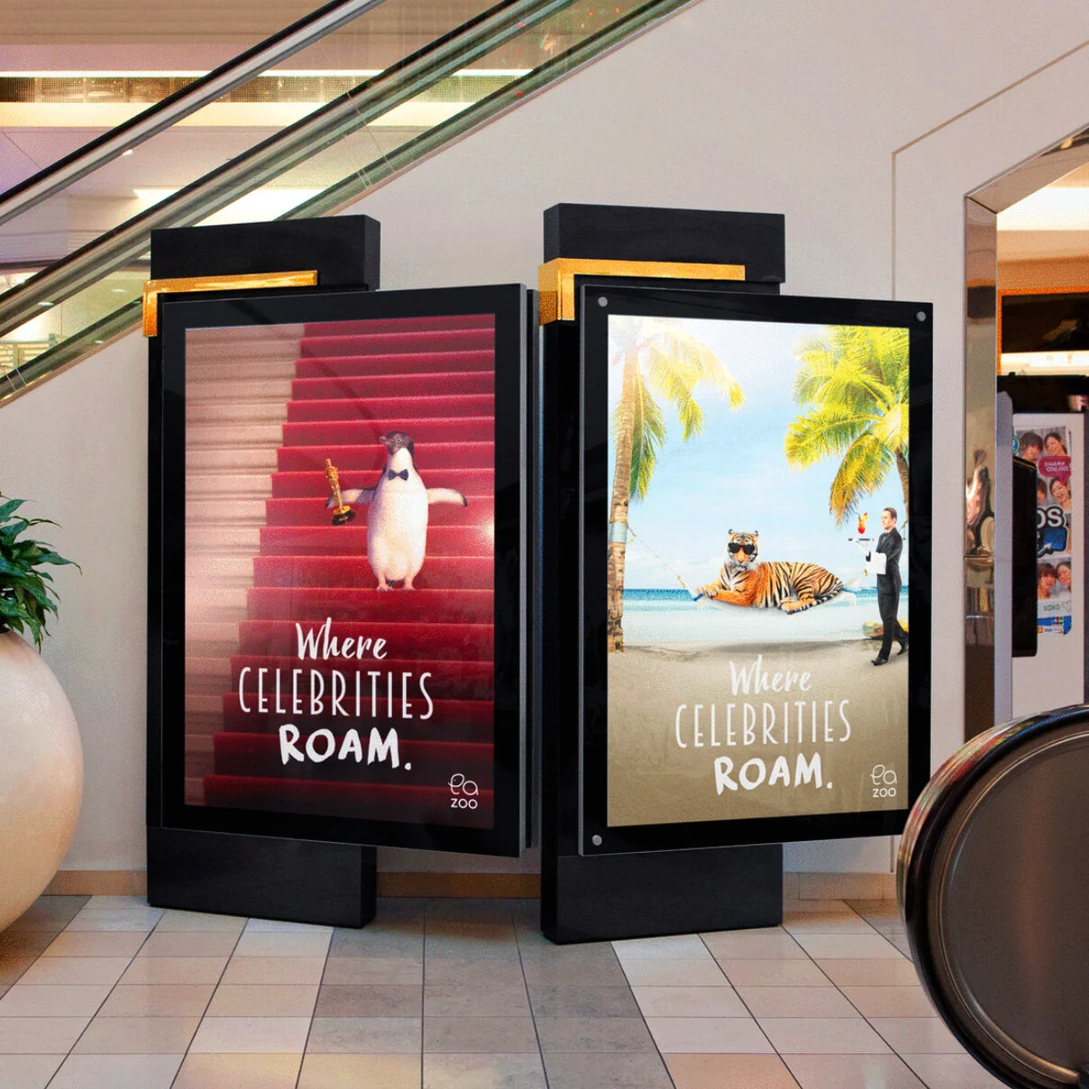 Screen Shot 2020-01-05 at 3.17.09 PM copy.jpg