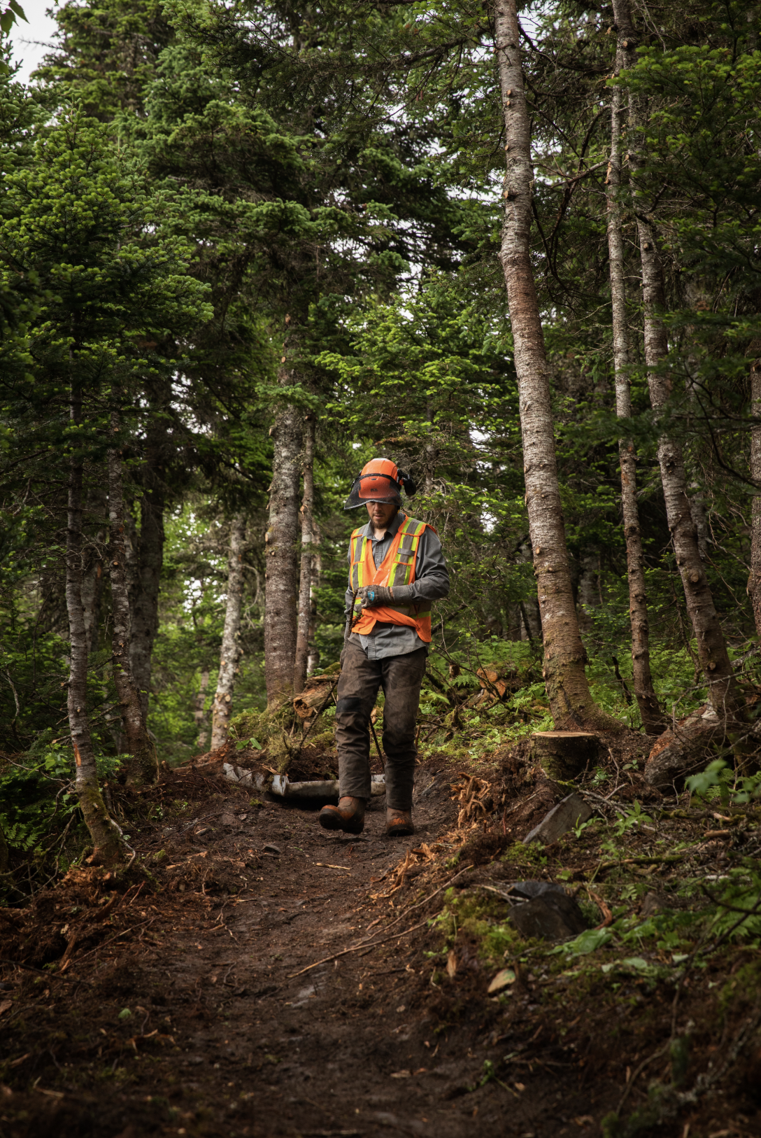 Screenshot 2026-04-11 at 3.32.41 pm.png