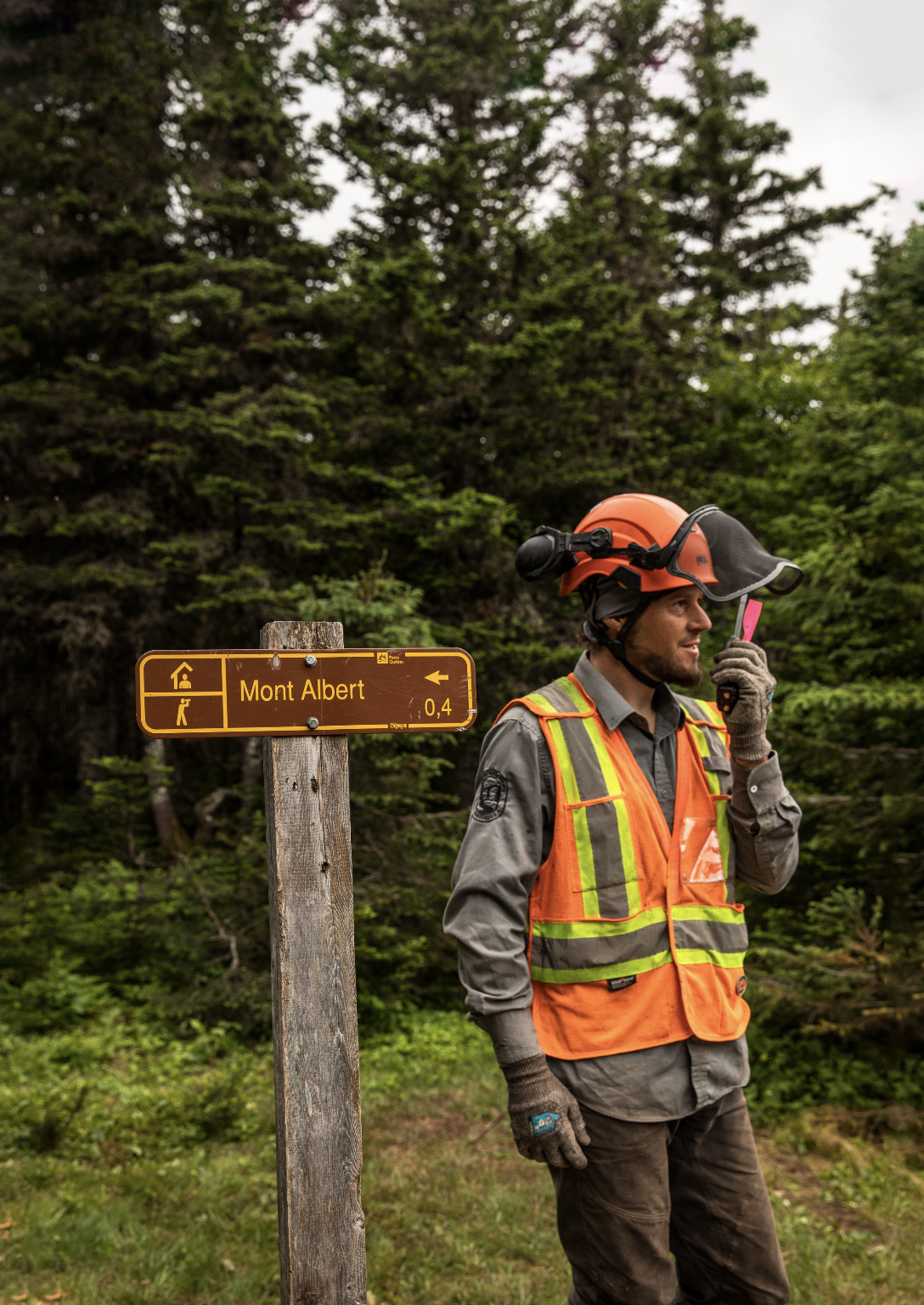 Screenshot 2026-04-11 at 3.32.09 pm.png