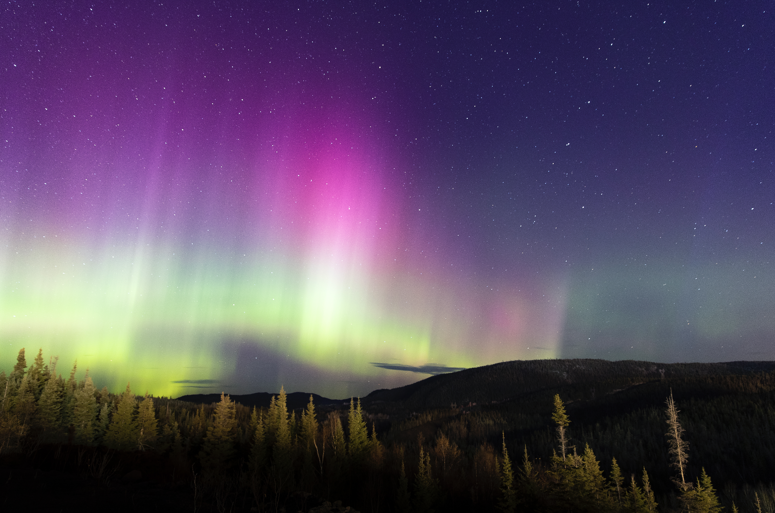 Screenshot 2026-04-11 at 4.08.45 pm.png