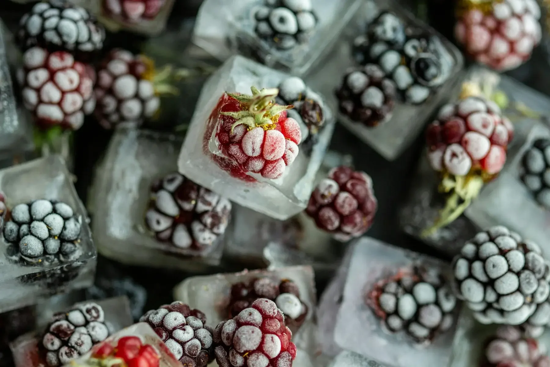 Frozen berries illustrating food preservation and long-term storage.