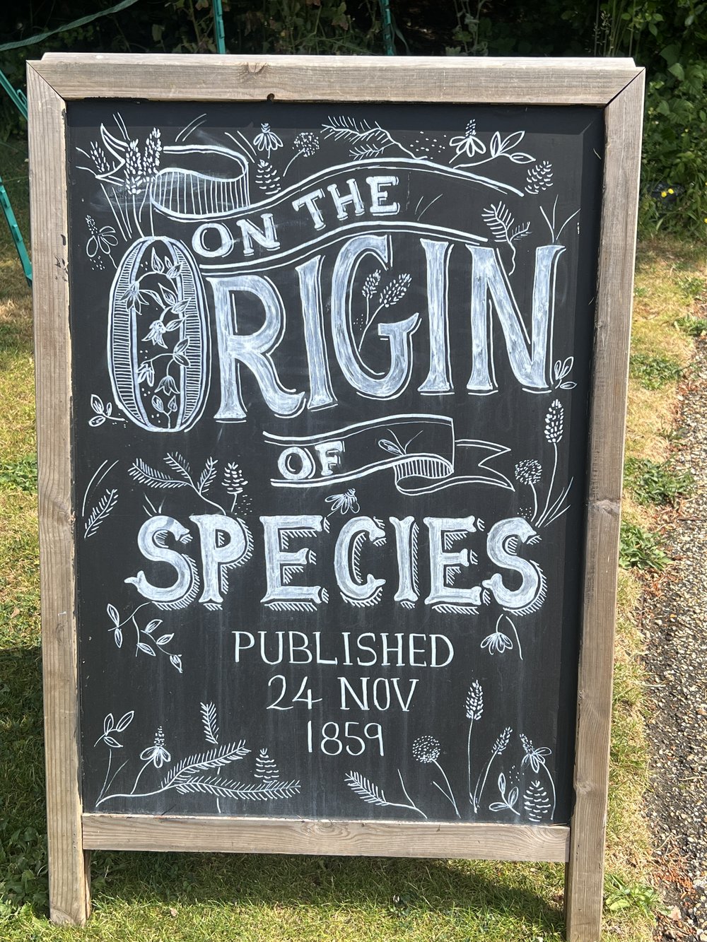 OriginOfSpecies-Chalkboard.JPG