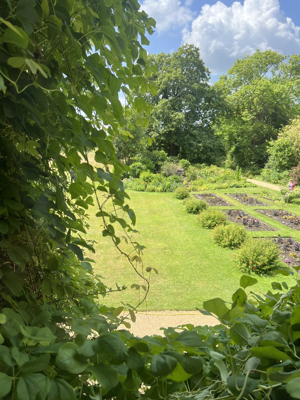 Garden1.JPG