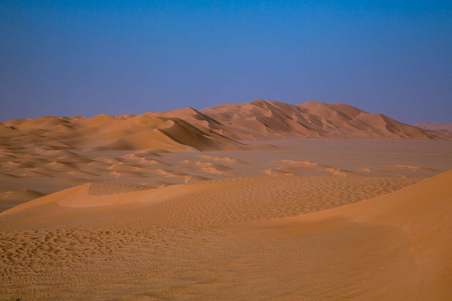 Golden sand dunes stretching across the Rub’ al Khali desert in Saudi Arabia under a clear blue sky, illustrating one of the world’s largest continuous sand deserts
