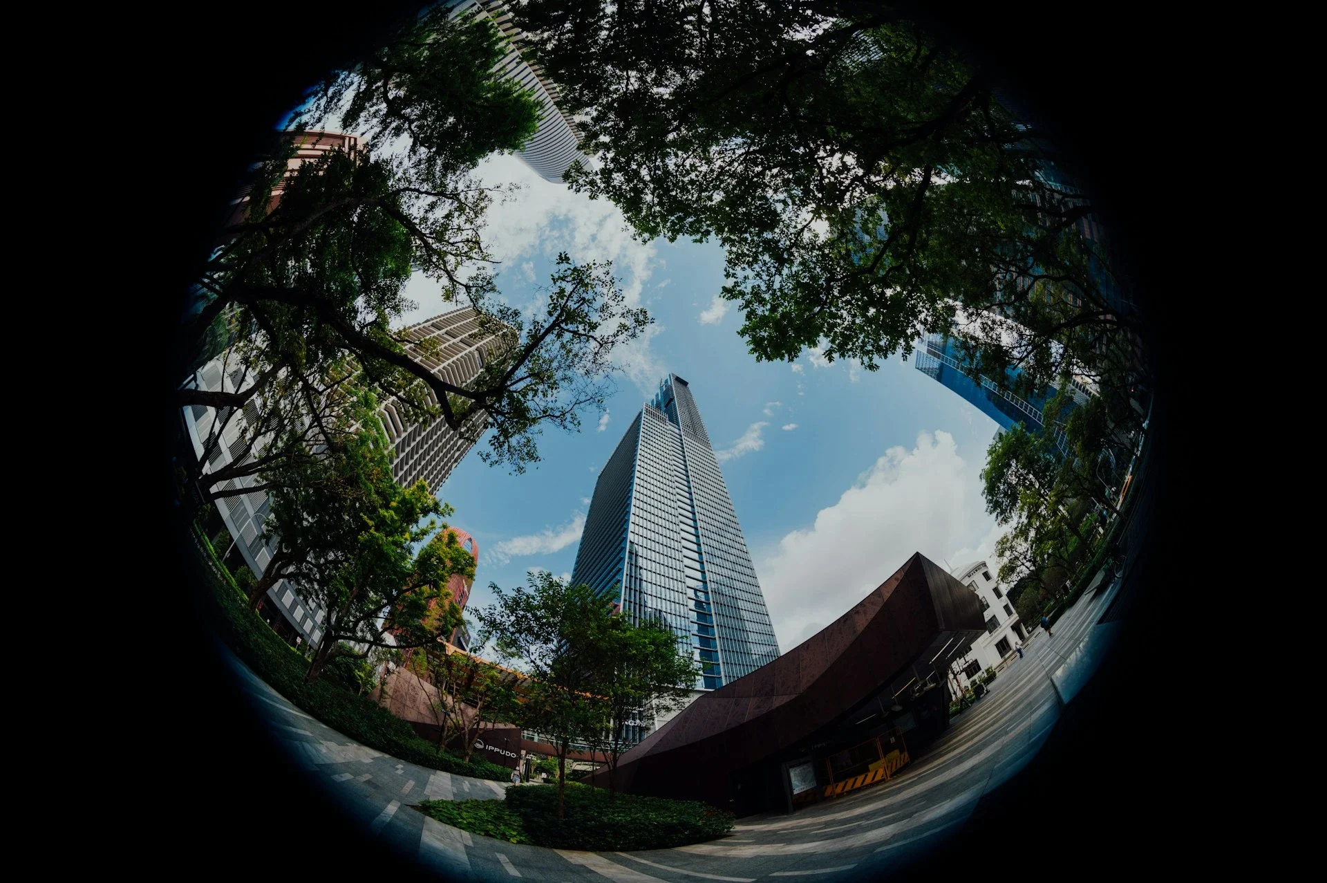 A cityscape viewed through a circular frame, with trees and skyscrapers surrounding a bright blue sky.