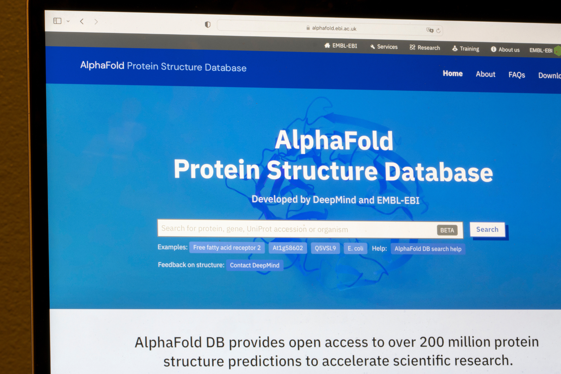 A laptop screen displaying the AlphaFold Protein Structure Database by Google DeepMind and EMBL EBI to represent AI tools in biological research.