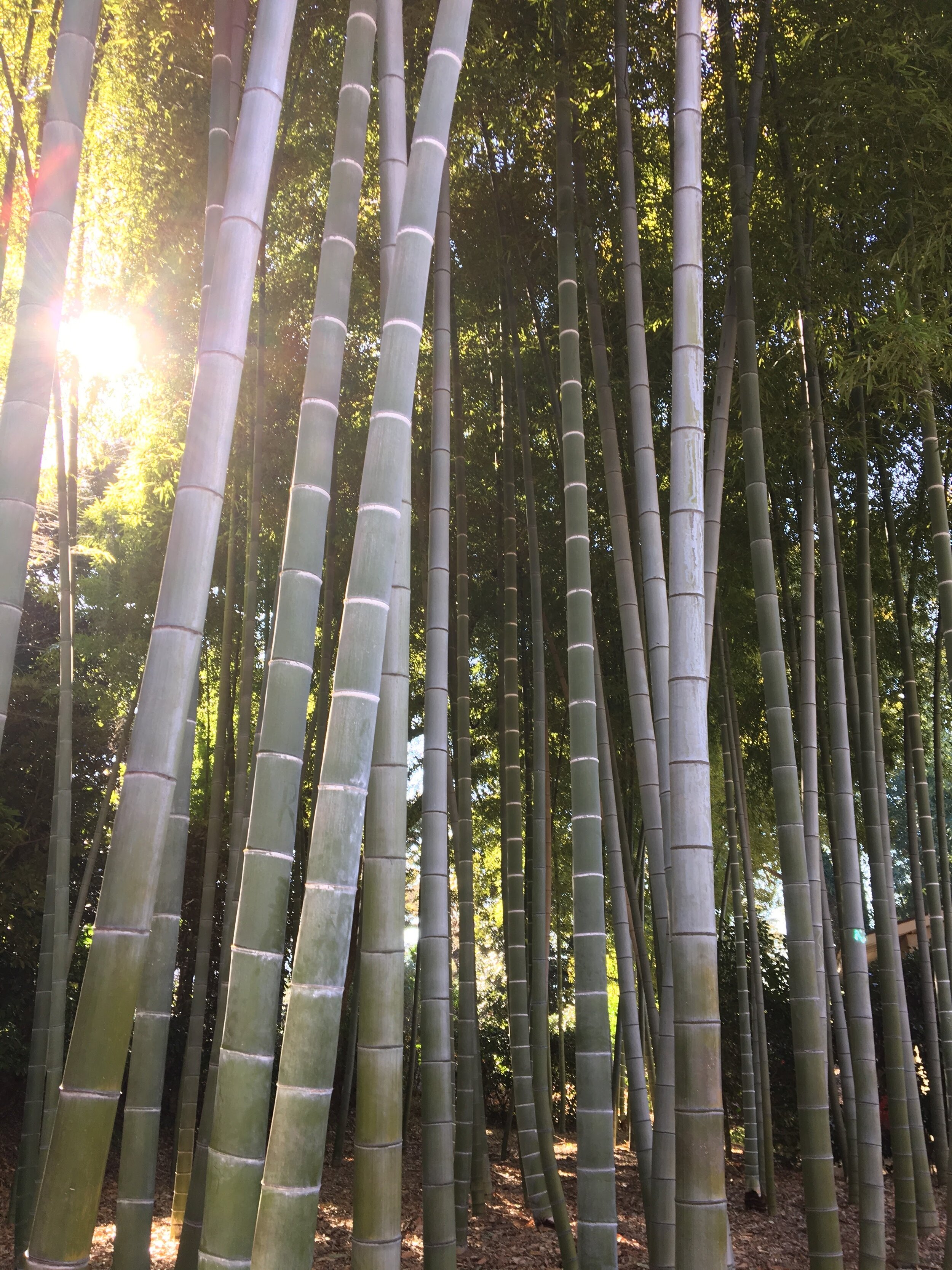 Don’t focus on your goals.