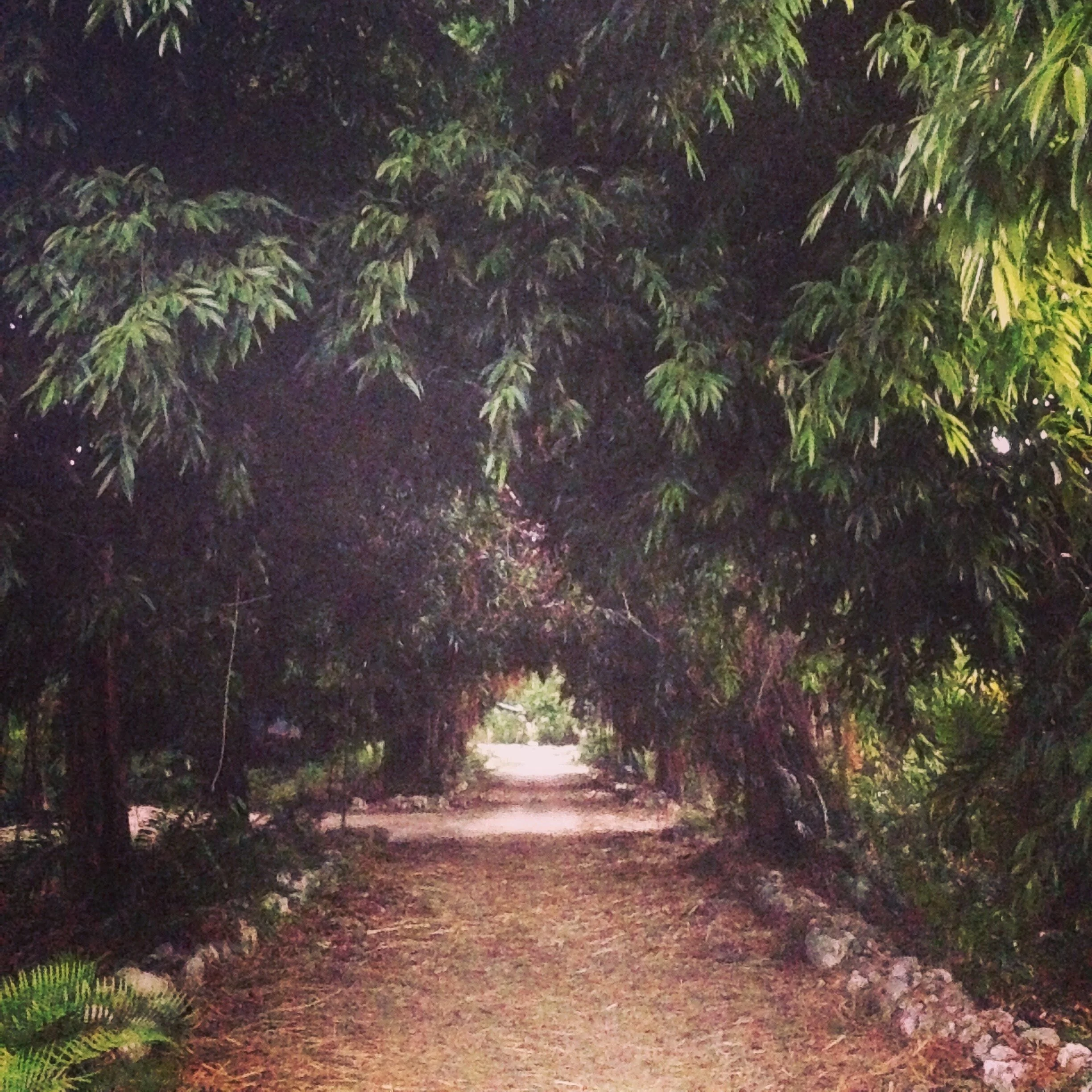 The Journey Continues…