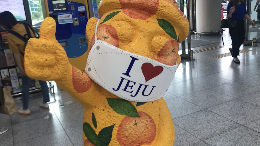 Life During COVID-19 in South Korea (Seoul)