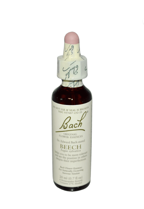 Violet Flower Essence Recipe Best Flower Site