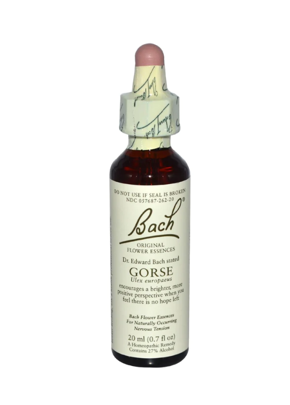 Gorse Flower Essence — Nutrition & Whole Health Solutions