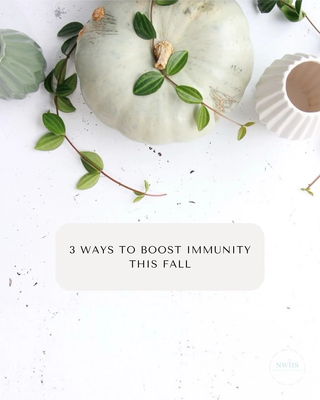 3 simple ways to boost your immunity this fall: 
1️⃣ Get your Vitamin D ☀️
2️⃣ Support your gut health 🌱
3️⃣ Try a Detox Foot Bath to gently flush out toxins and recharge your immune system 💧
At NWHS, we help your body work smarter, not harder &m