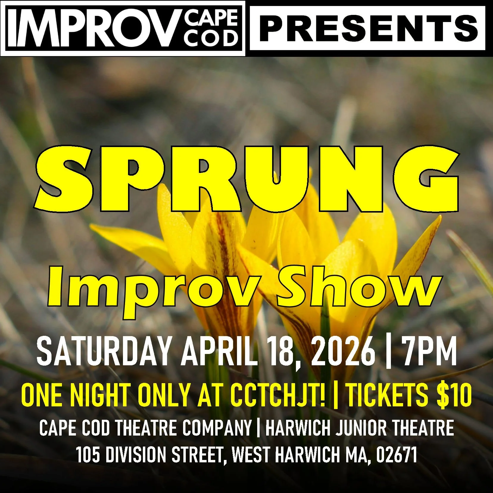 SPRUNG Improv 2026 4/18/26