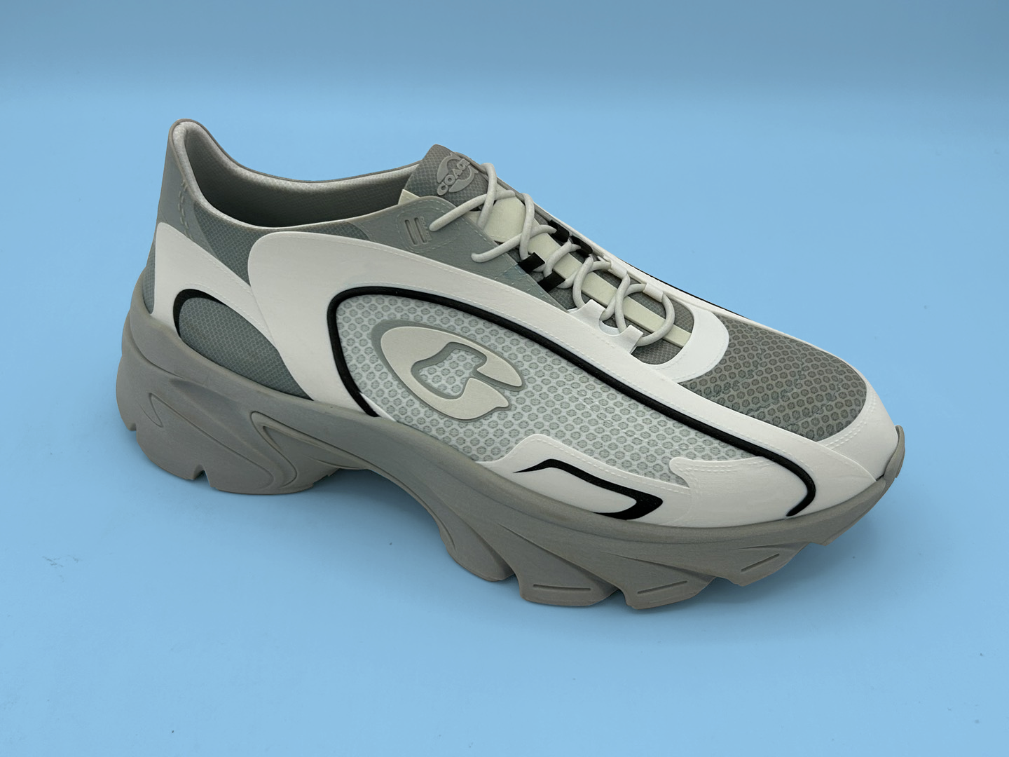 Speed Runner Print (1).png