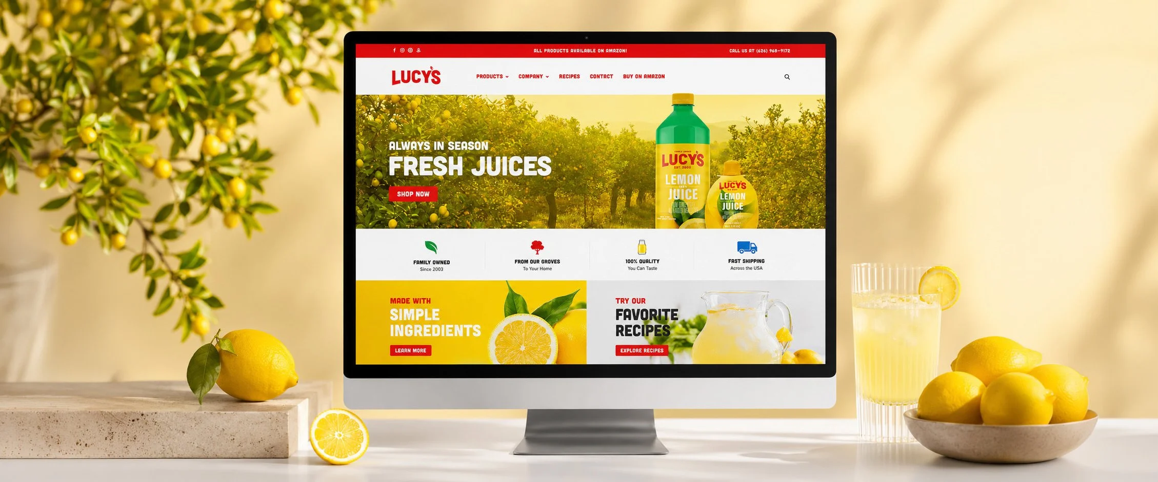 Lucys_Website-1-2_South-of-LA copy.jpg