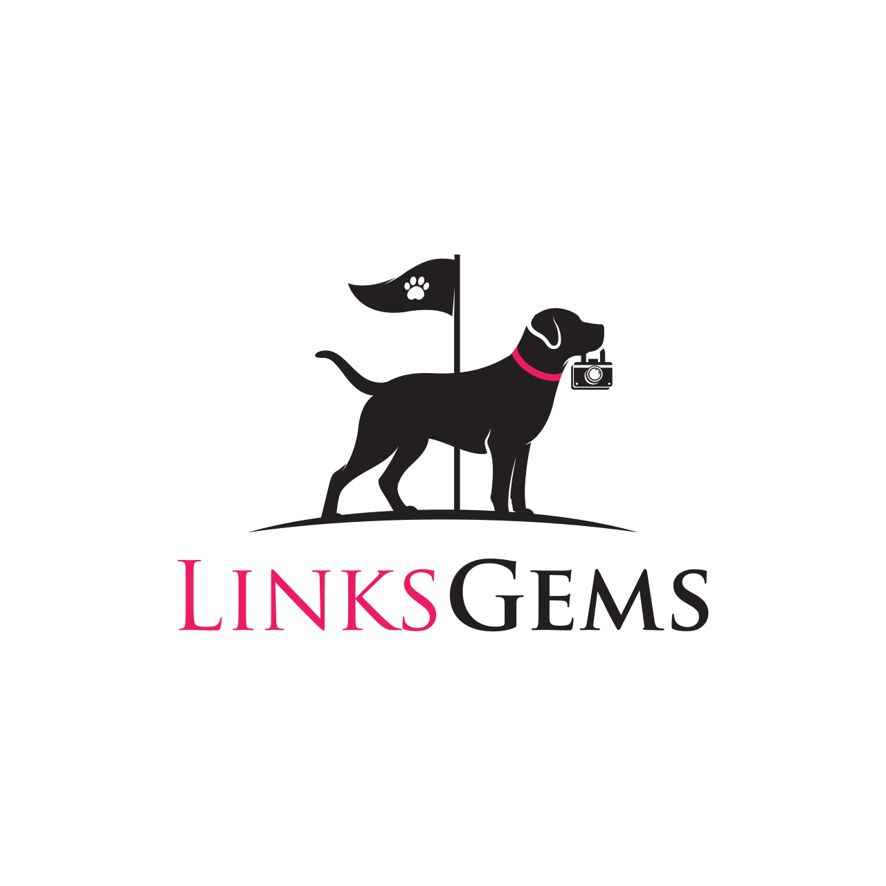 LINKSGEMS