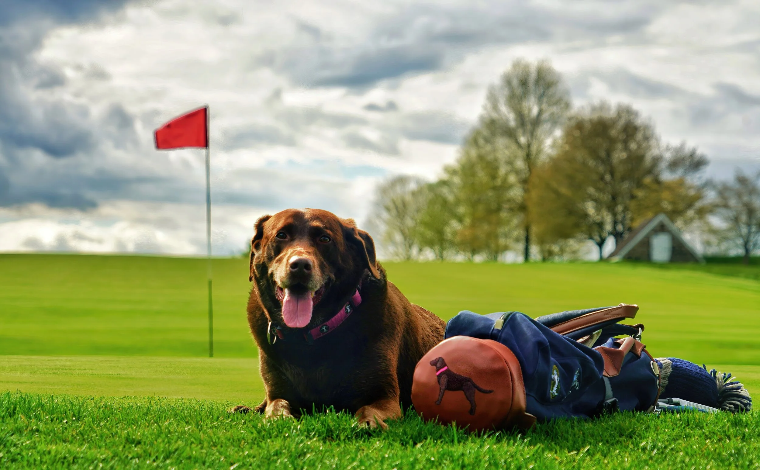 Gracie Stonewall Resize.JPG