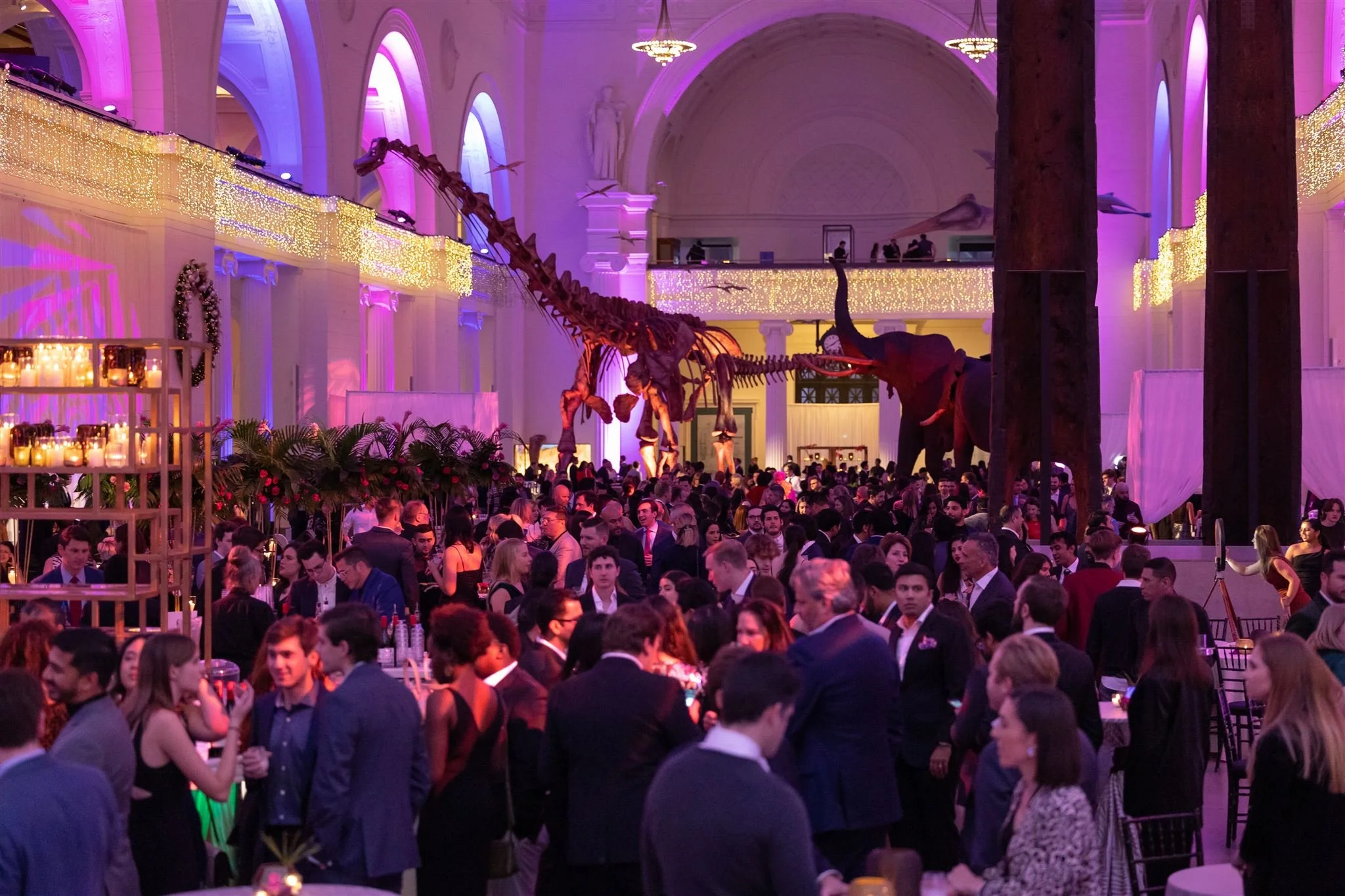 Event photographed by Chicago Event Photographer Paul Hairlson