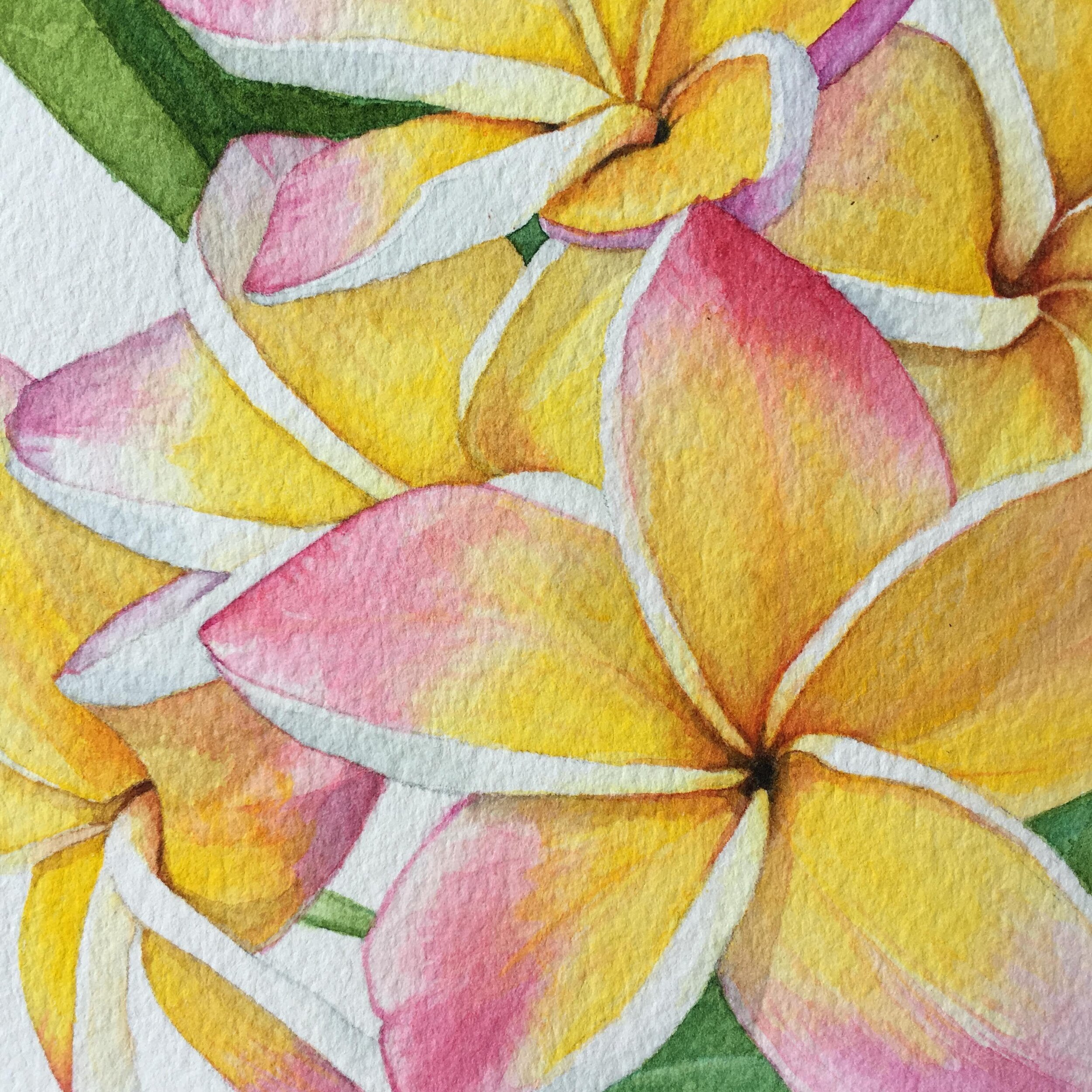 "Aloha"