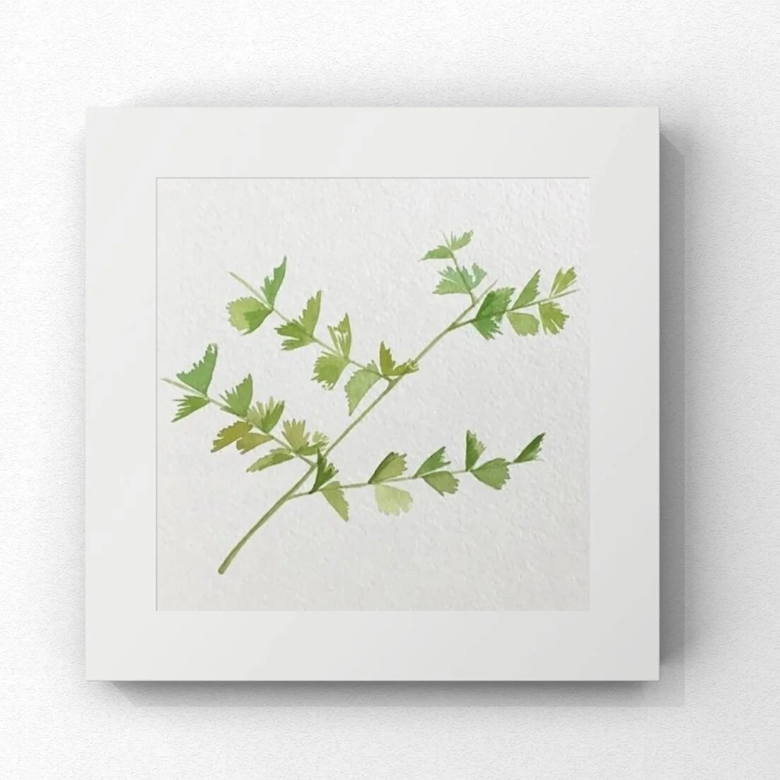 0D39E308-0149-4FB0-9001-5845C62DFD12