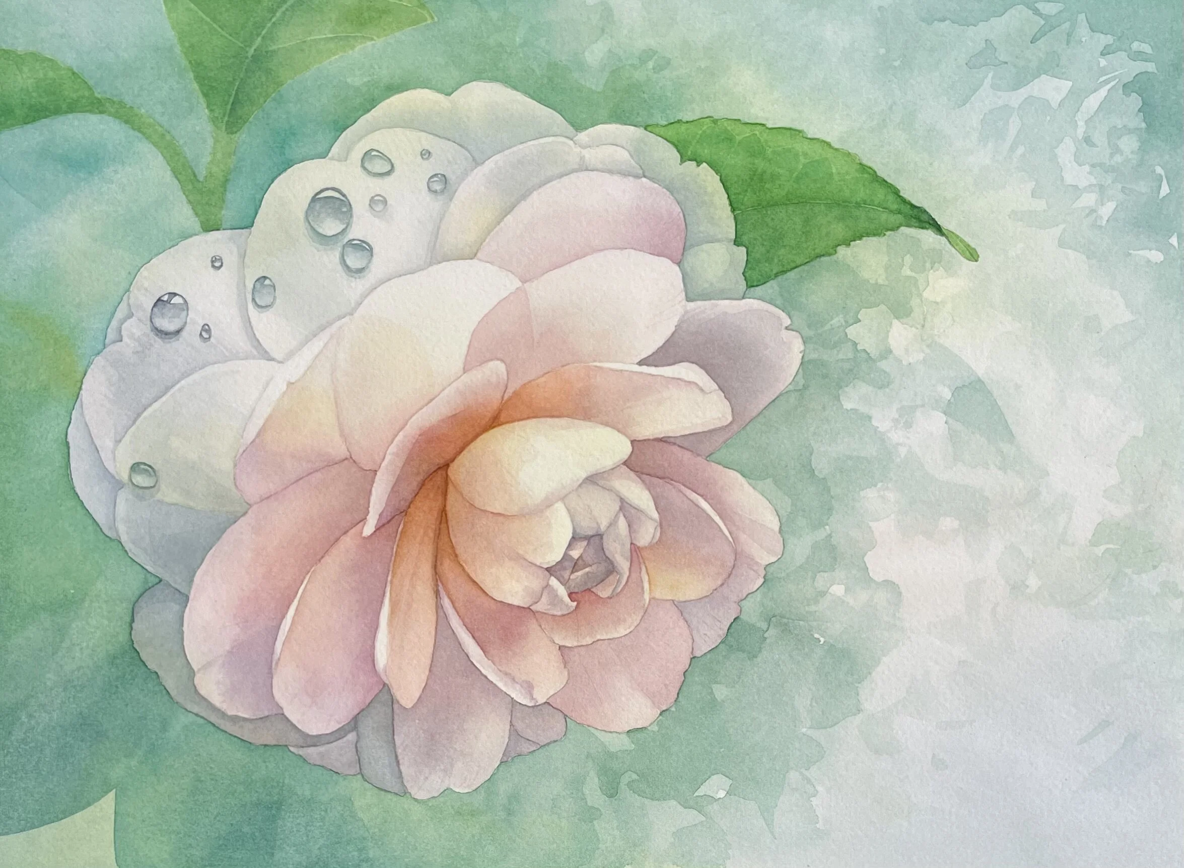 CB07F41D-BC2D-455C-95FE-C653453020E0