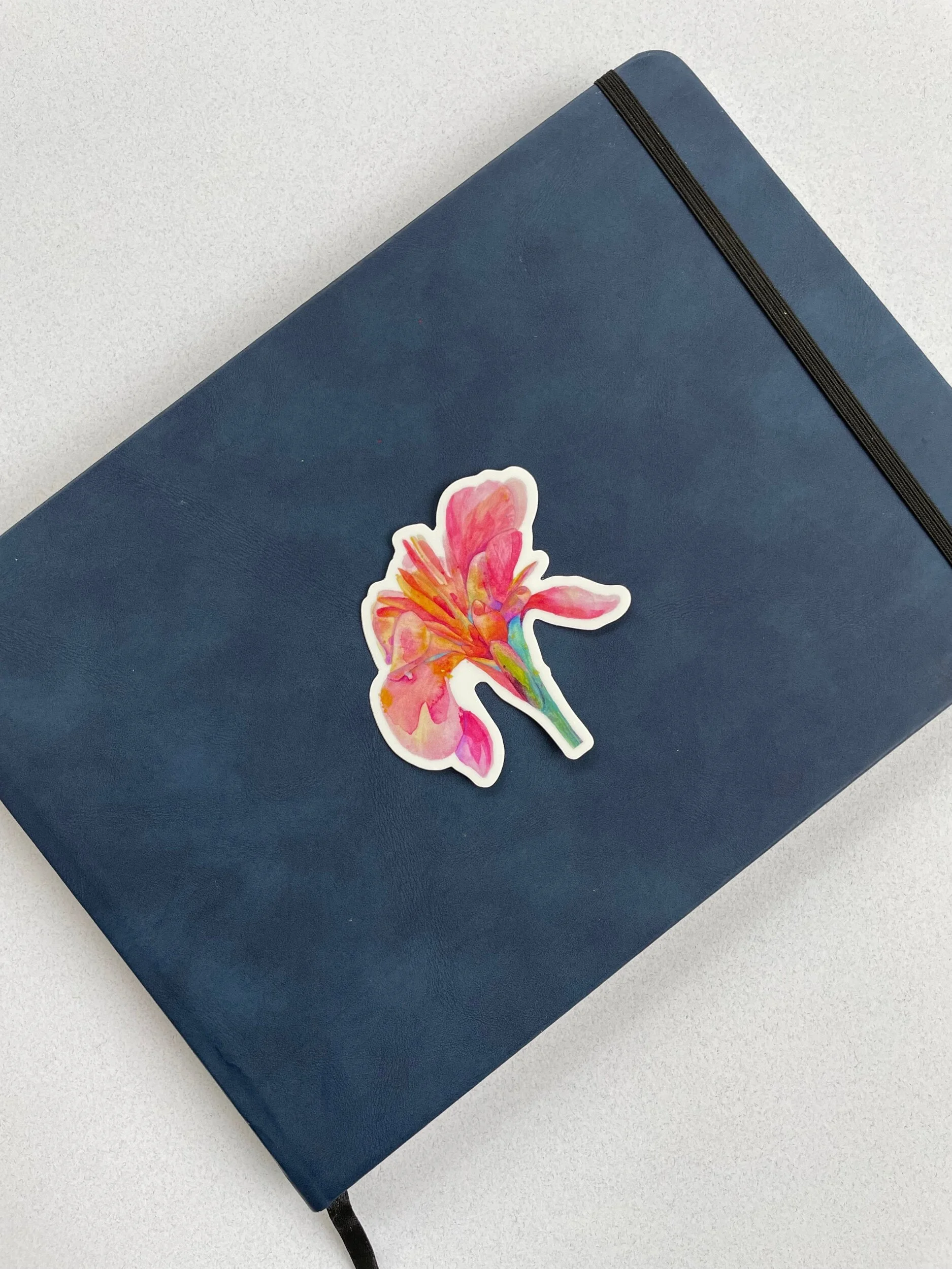 5746FFED-5959-4ADC-8689-987CAB8E5597