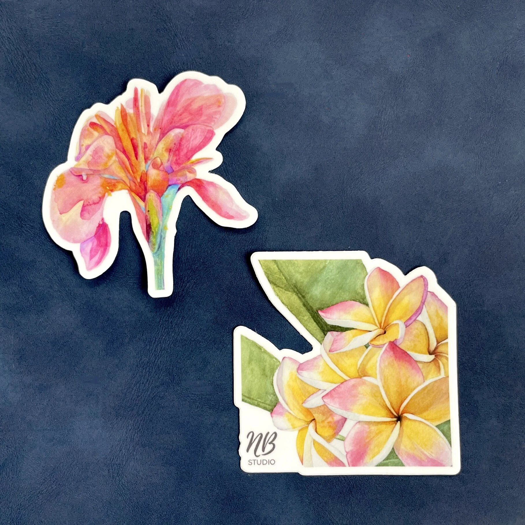 016CB178-EEAE-4CD0-A0EA-D502AB09CD75