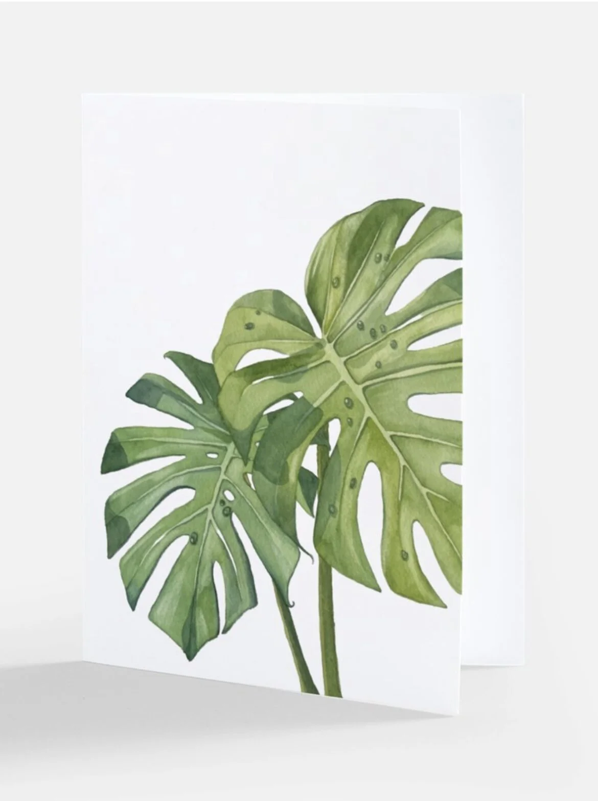 Monstera Note Card