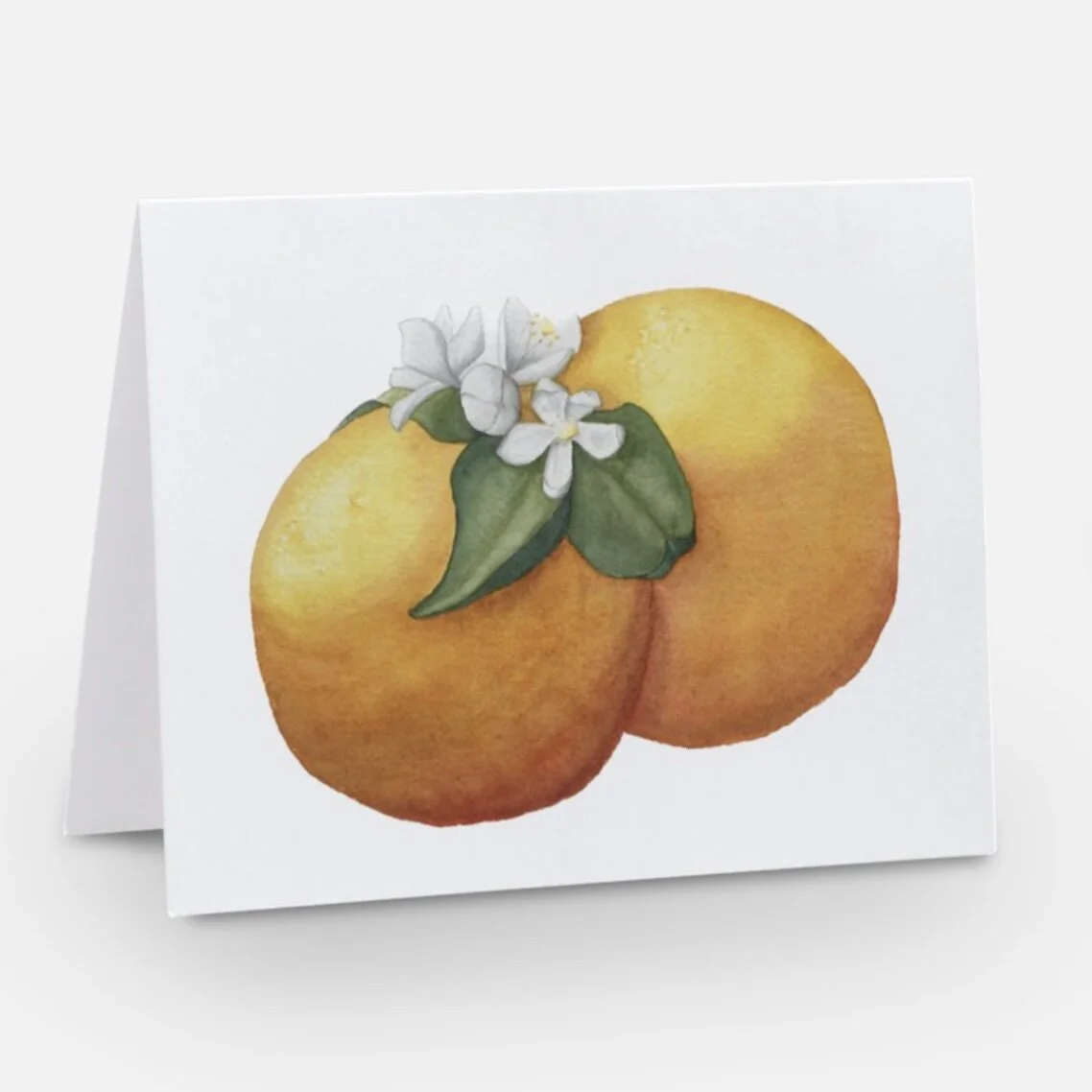 56A03A2B-C591-488A-9B21-1FD657DBB4D4