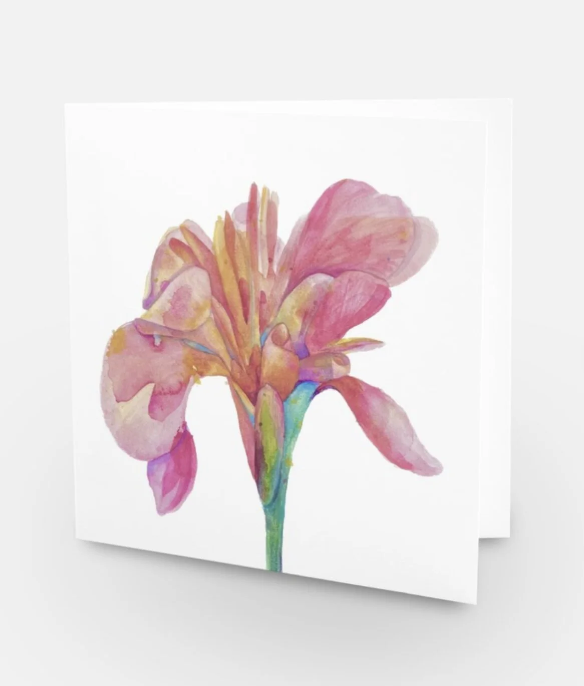 228EEDB1-FA96-4432-9459-1520DD490356