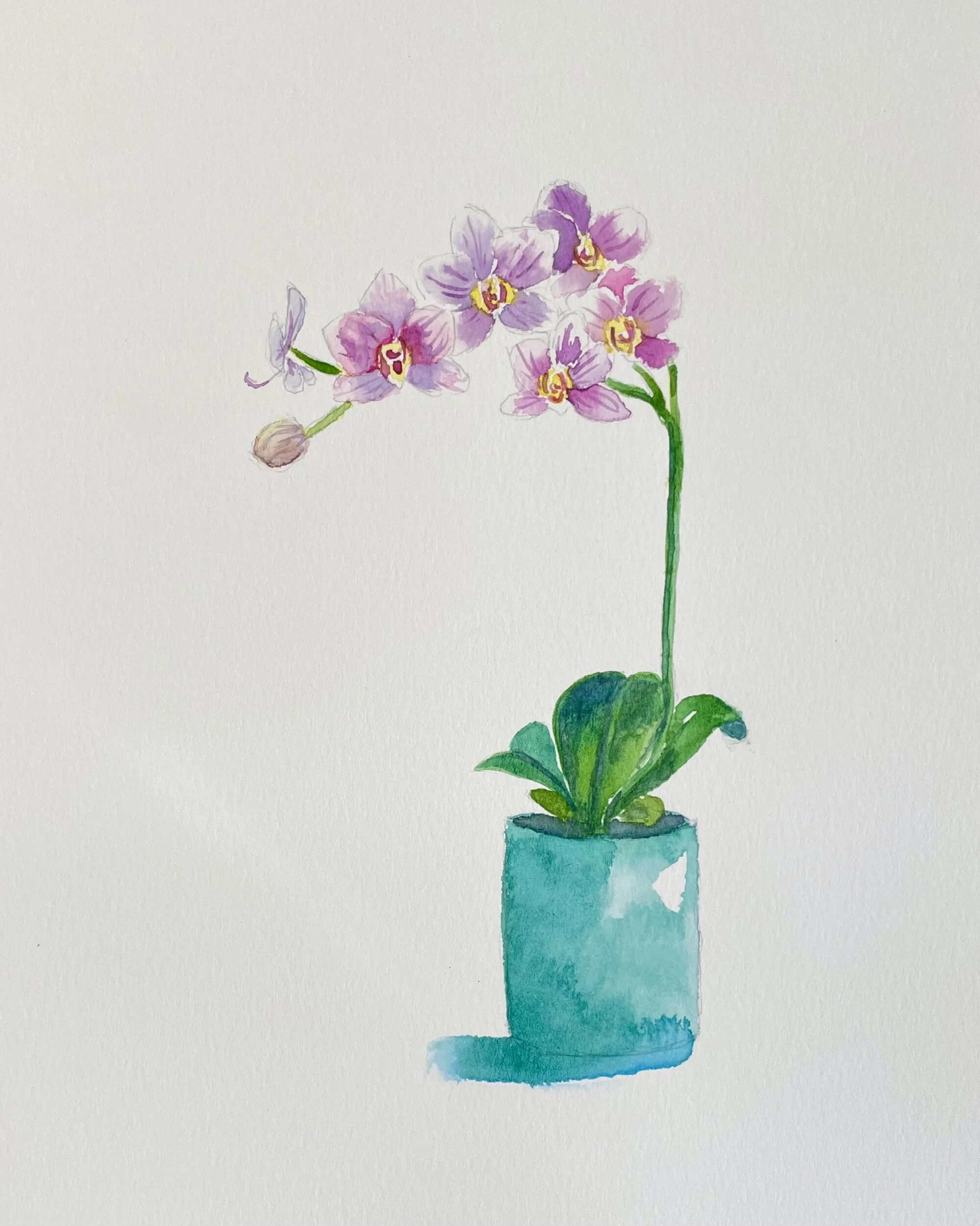 4C9E585E-7390-436E-9C72-37D6E0093932