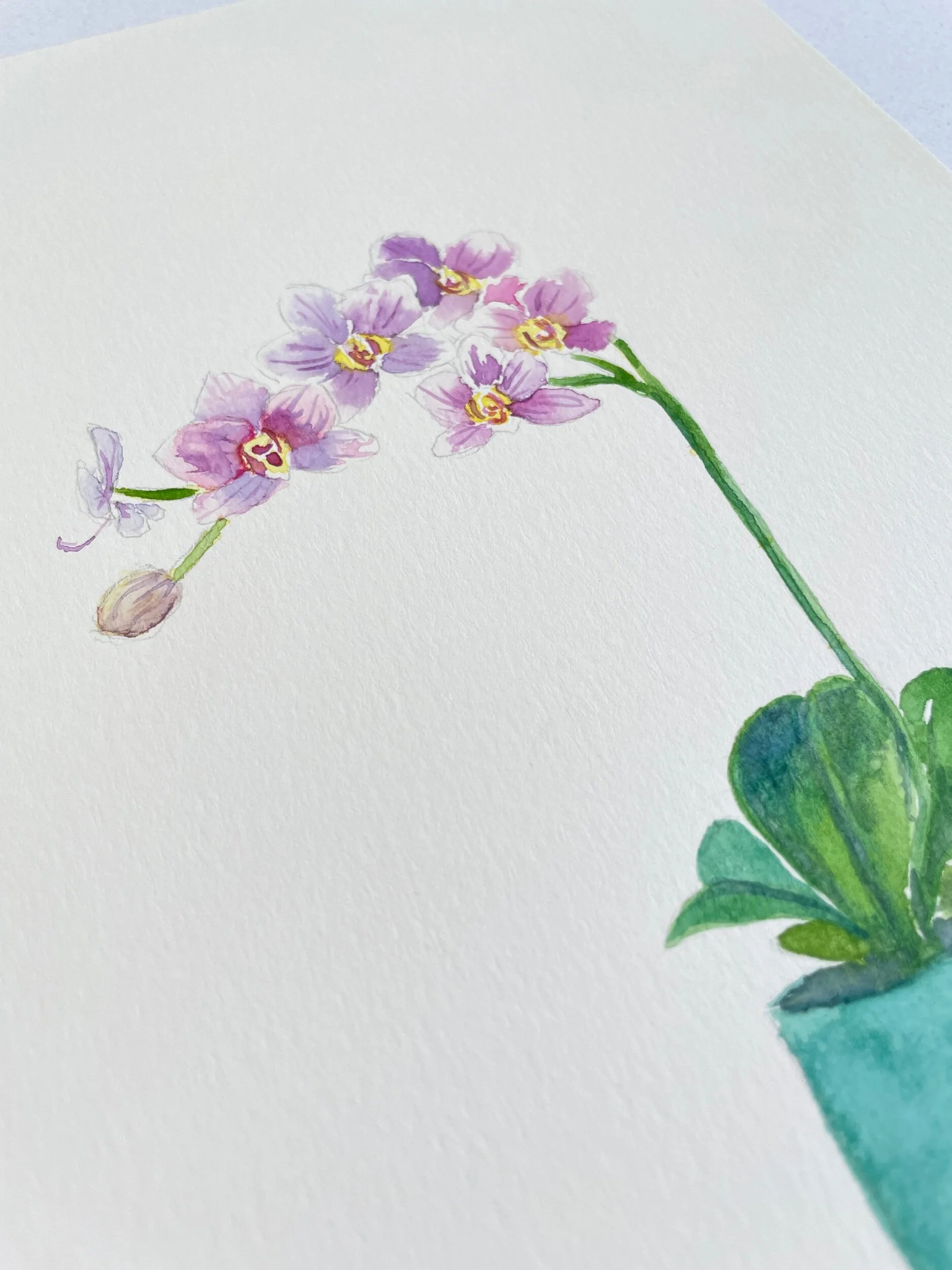 6C4AA9D1-DBE3-4F3D-A0AB-DC9C87FF60DE