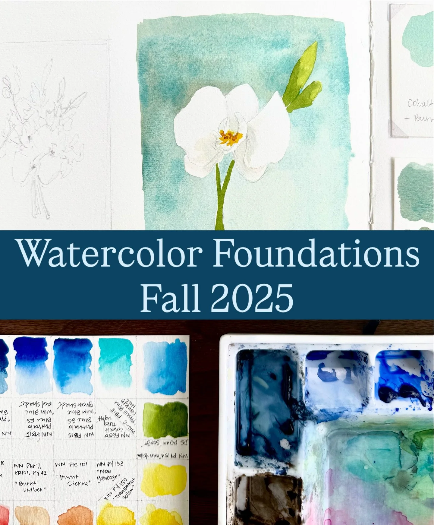 Join me for a 6 week class where you&rsquo;ll develop and strengthen essential watercolor skills! The perfect class for beginner-intermediate students who want to grow in both joy and proficiency with watercolor!

Thursday mornings 
Oct 2nd-Nov 6th @