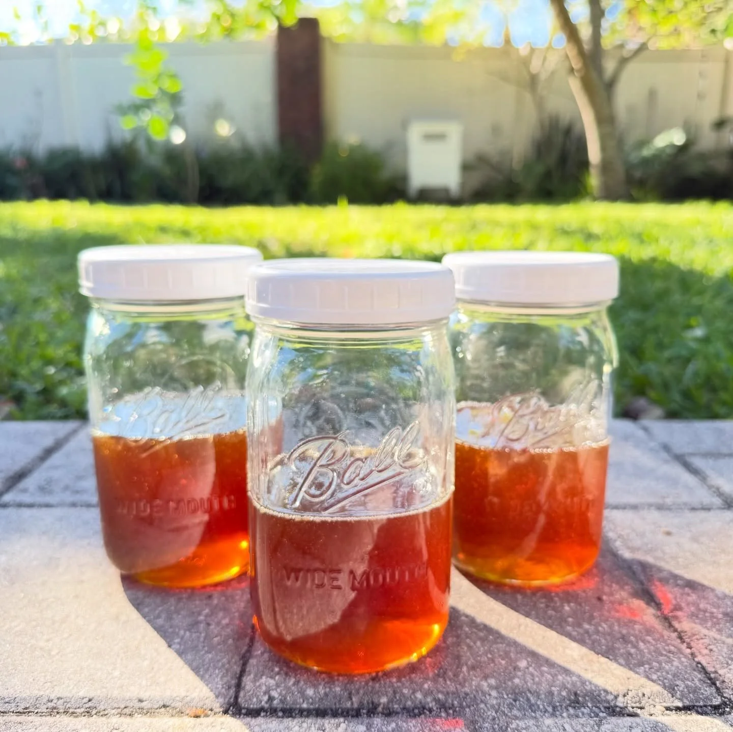 This May, we celebrated our anniversary with a new adventure- Beekeeping! And today we collected our first honey. We&rsquo;ve learned SO much along the way, and have only grown in our appreciation and amazement of bees, flowers, and the way our natur