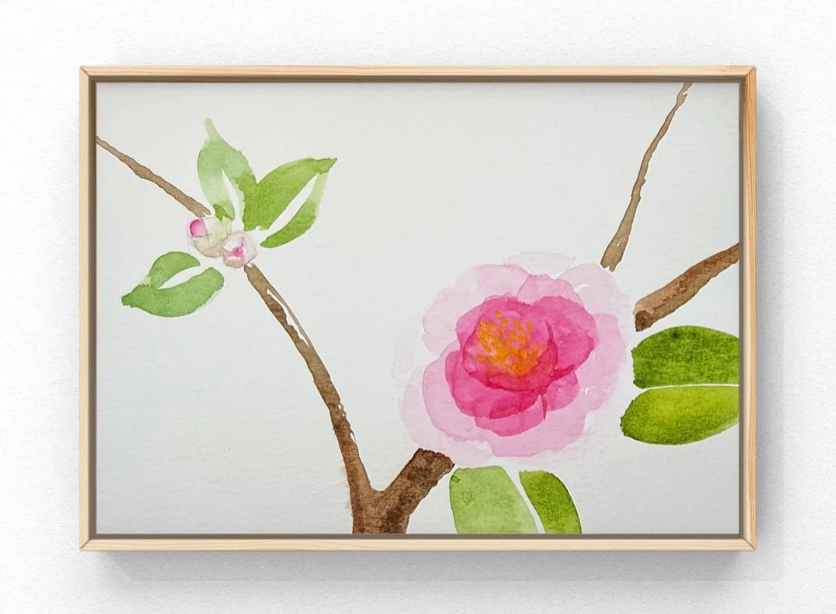 Learn how to paint layers of transparent watercolor in this encouraging class for all skill levels! I&rsquo;ll guide you step by step as we create depth and dimension in watercolor camellias- which just happen to be blooming in the gardens! 🌸 When y
