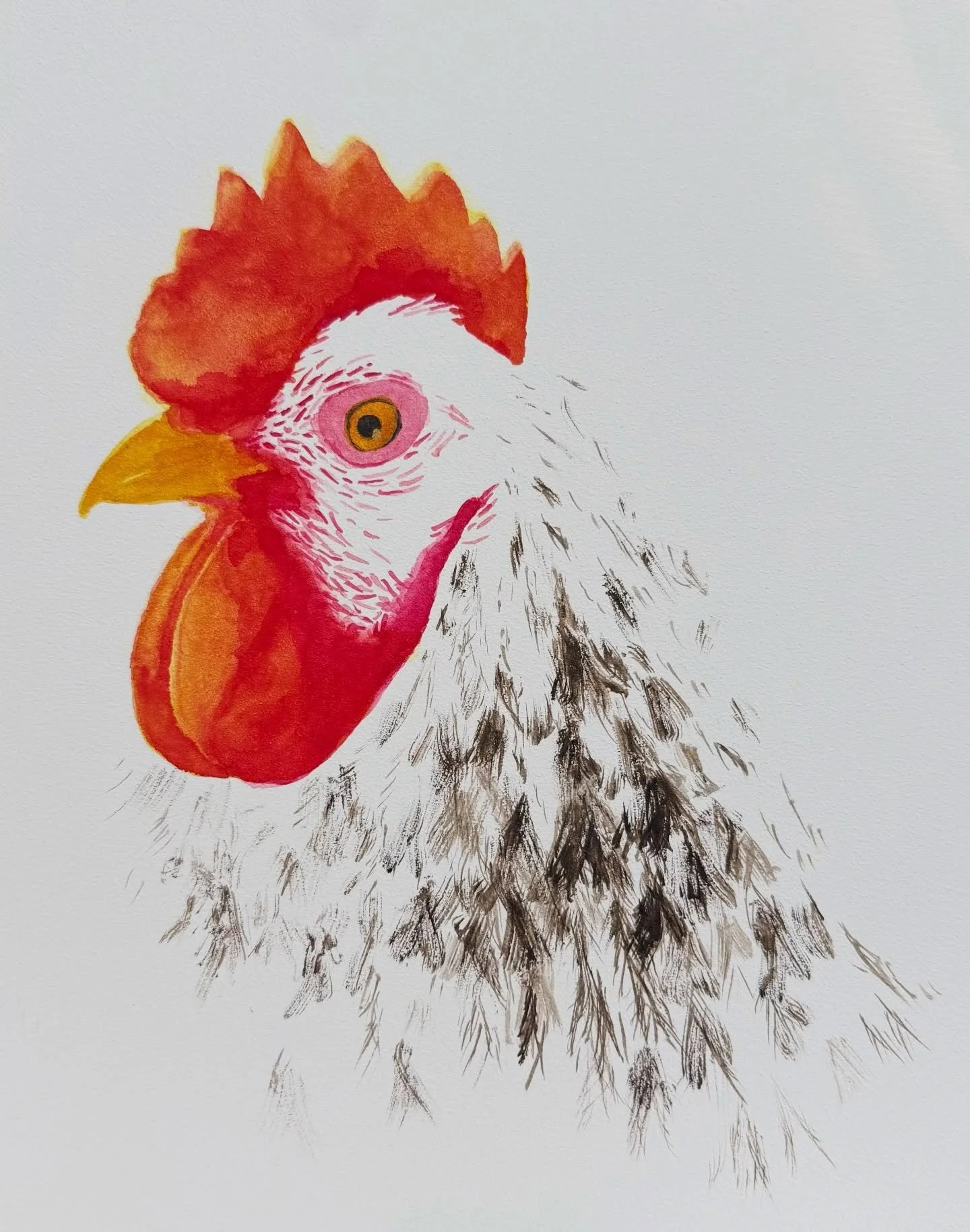 I don&rsquo;t usually do &ldquo;pet portraits,&rdquo; but this was a fun request from a client who gave me a lot of freedom in the commission. Swipe to see the whole process. ➡️ I started with an idea to let the white of the feathers disappear into t