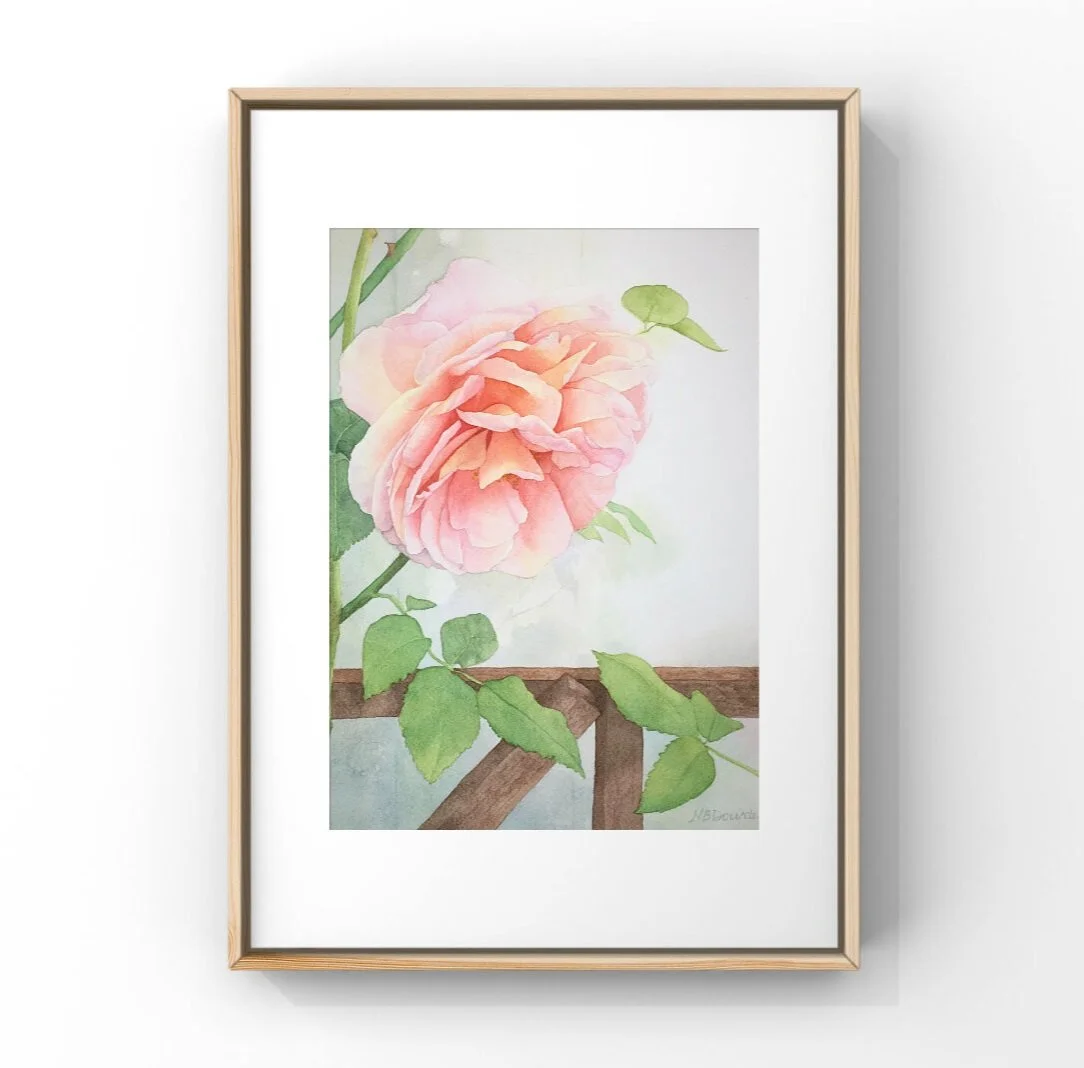 44DD4572-9109-41A8-8B9D-1158069131D7