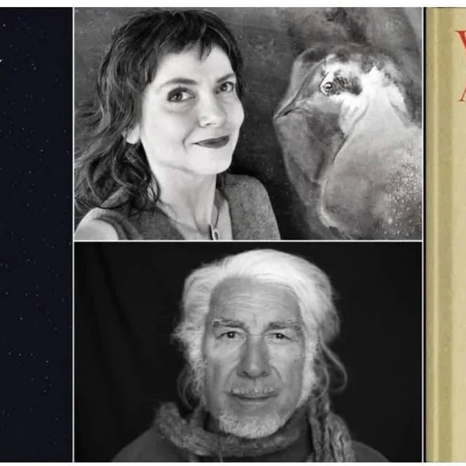 Exhibition &amp; Book Launch: Grainger Gallery