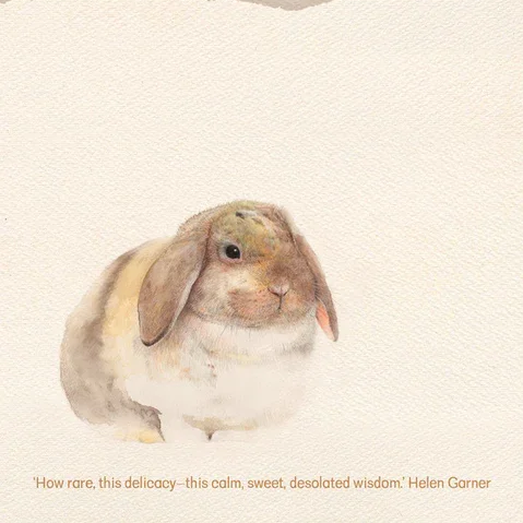 Book Cow Book Club: The Burrow