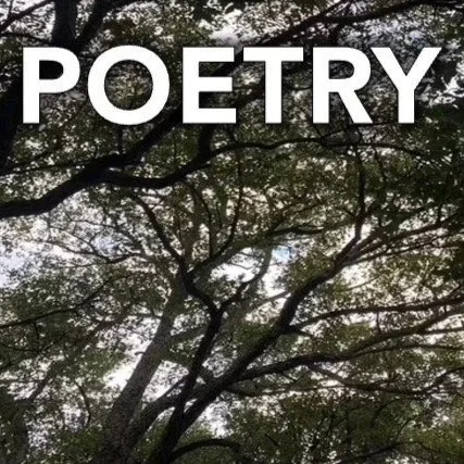 That Poetry Thing: <span class="sqsrte-text-color--accent">Kindred Trees Poetry Reading</span>