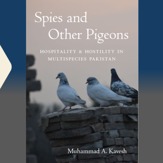 Book Launch: Spies and Other Pigeons
