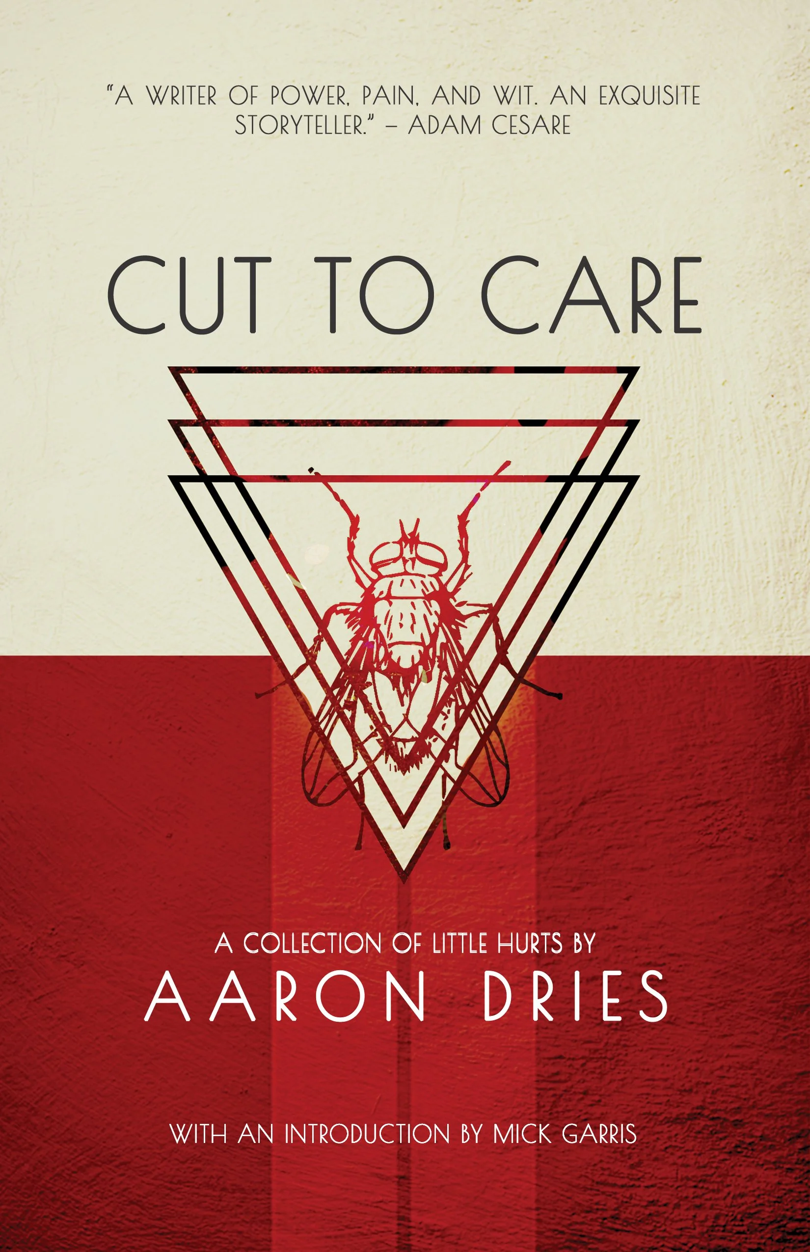 Aaron Dries