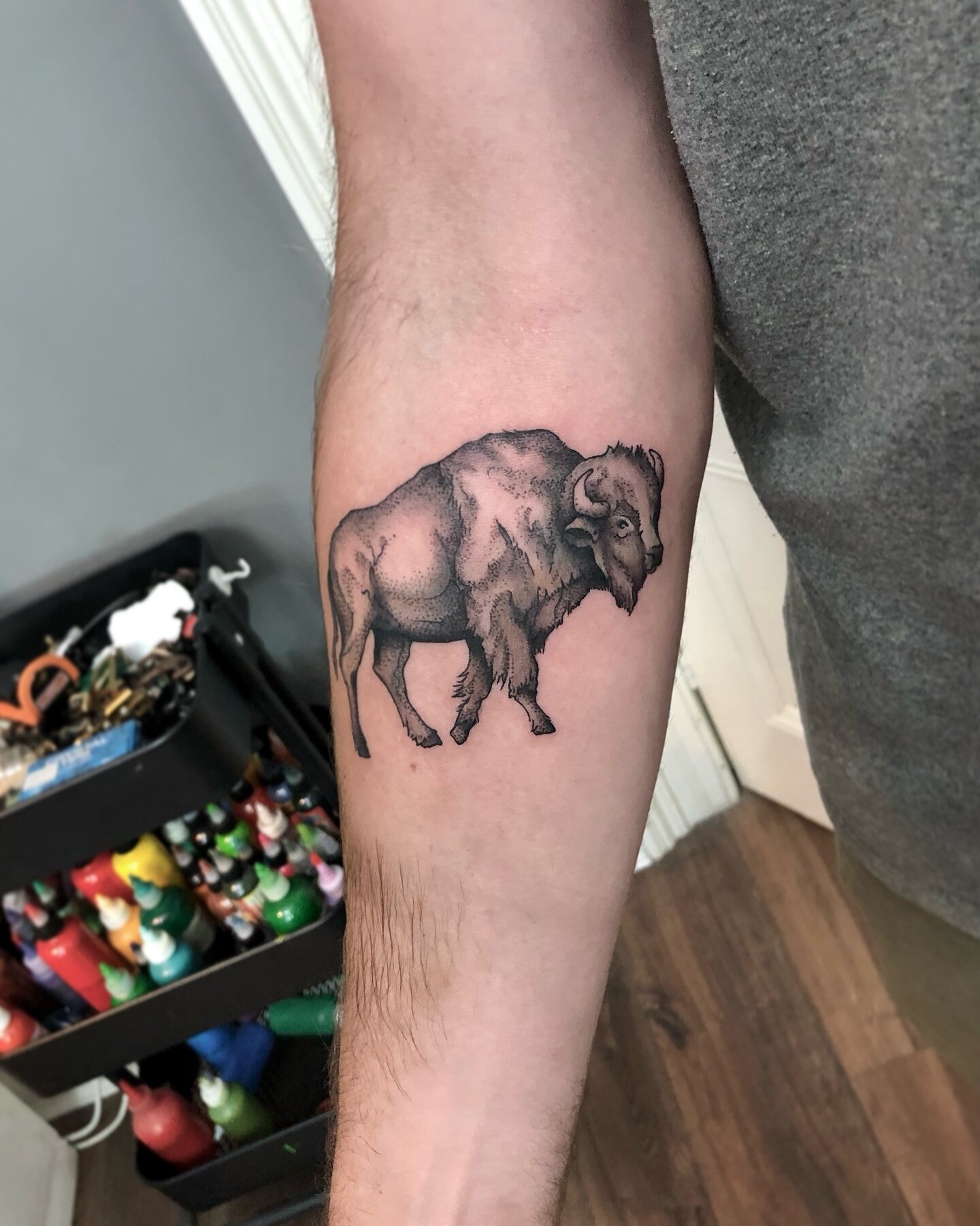 An illustrative bison for Ken this week - great to see you again! Done at @greystreettattoo 

For bookings/enquiries send me a DM or email: s.amaterstein@gmail.com

.
.
.
.
.
#amatersteinart #greystreettattoo #greystreet #stkilda #stkildatattoo #melb